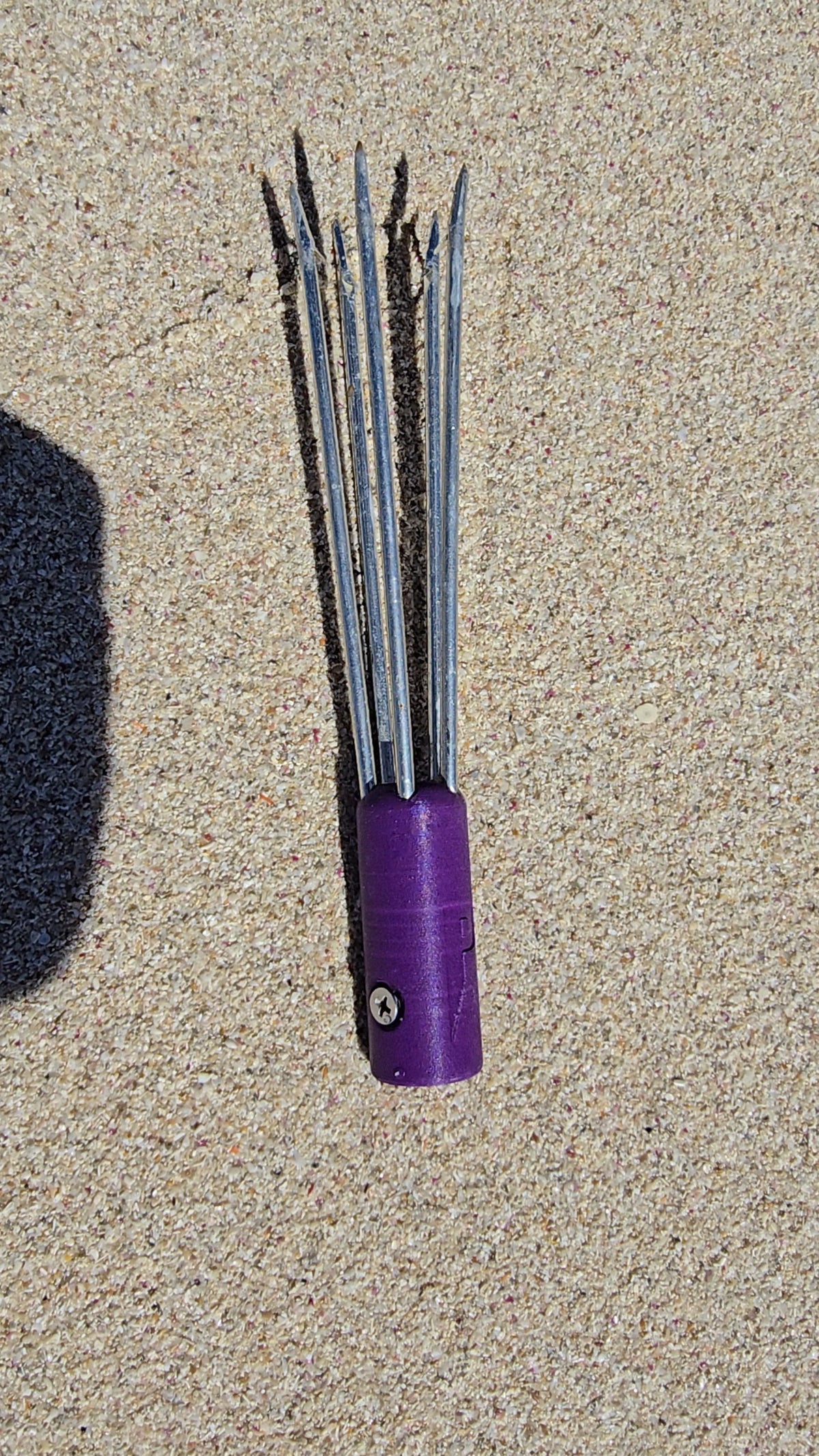 Purple Prangahead